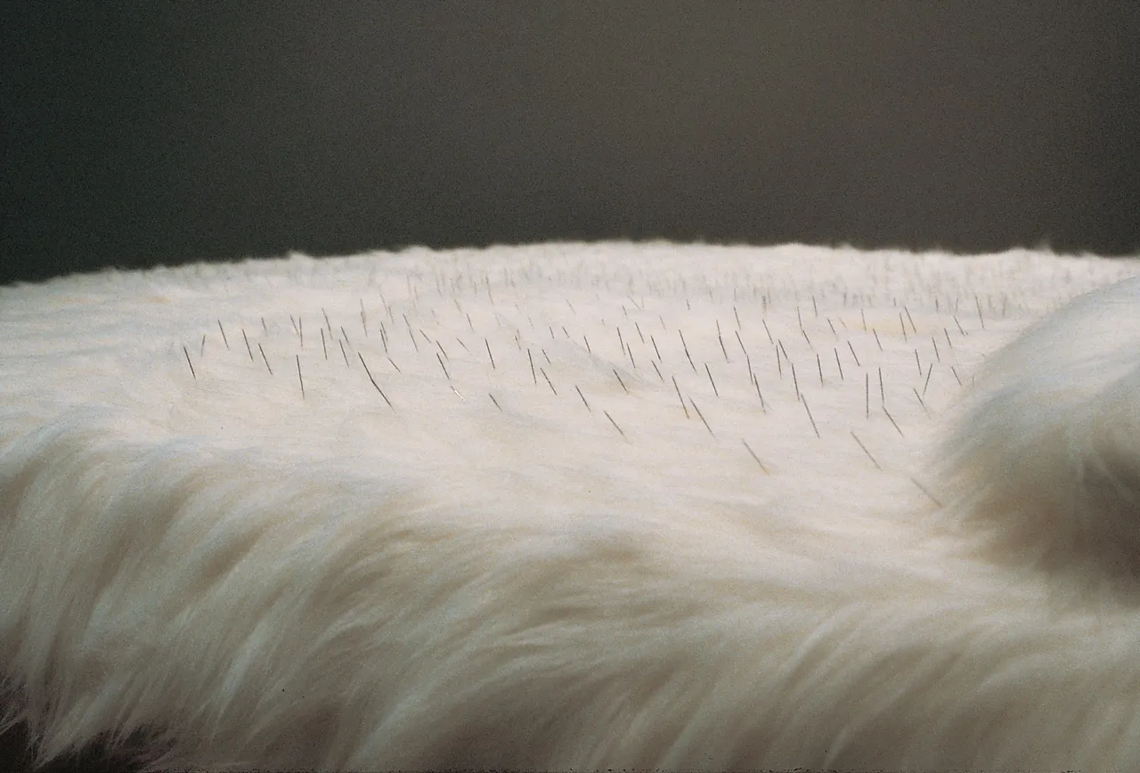 陳慧嶠，《睡吧，我的愛！》，1998，床、針、人造纖維，210 x 190 x 66 cm。圖片來源／台灣當代藝術資料庫