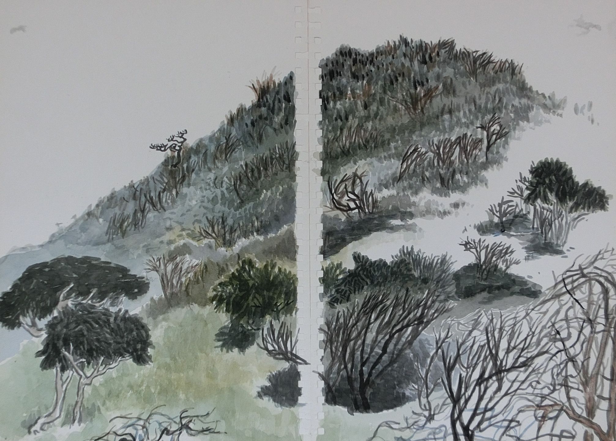 《寫生三》37 x 52 cm NTD. 13,629