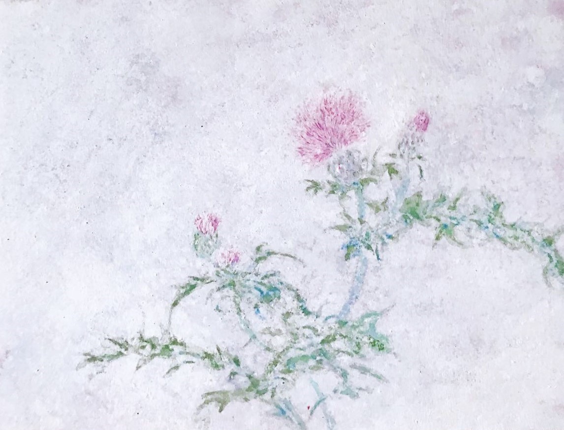 薊