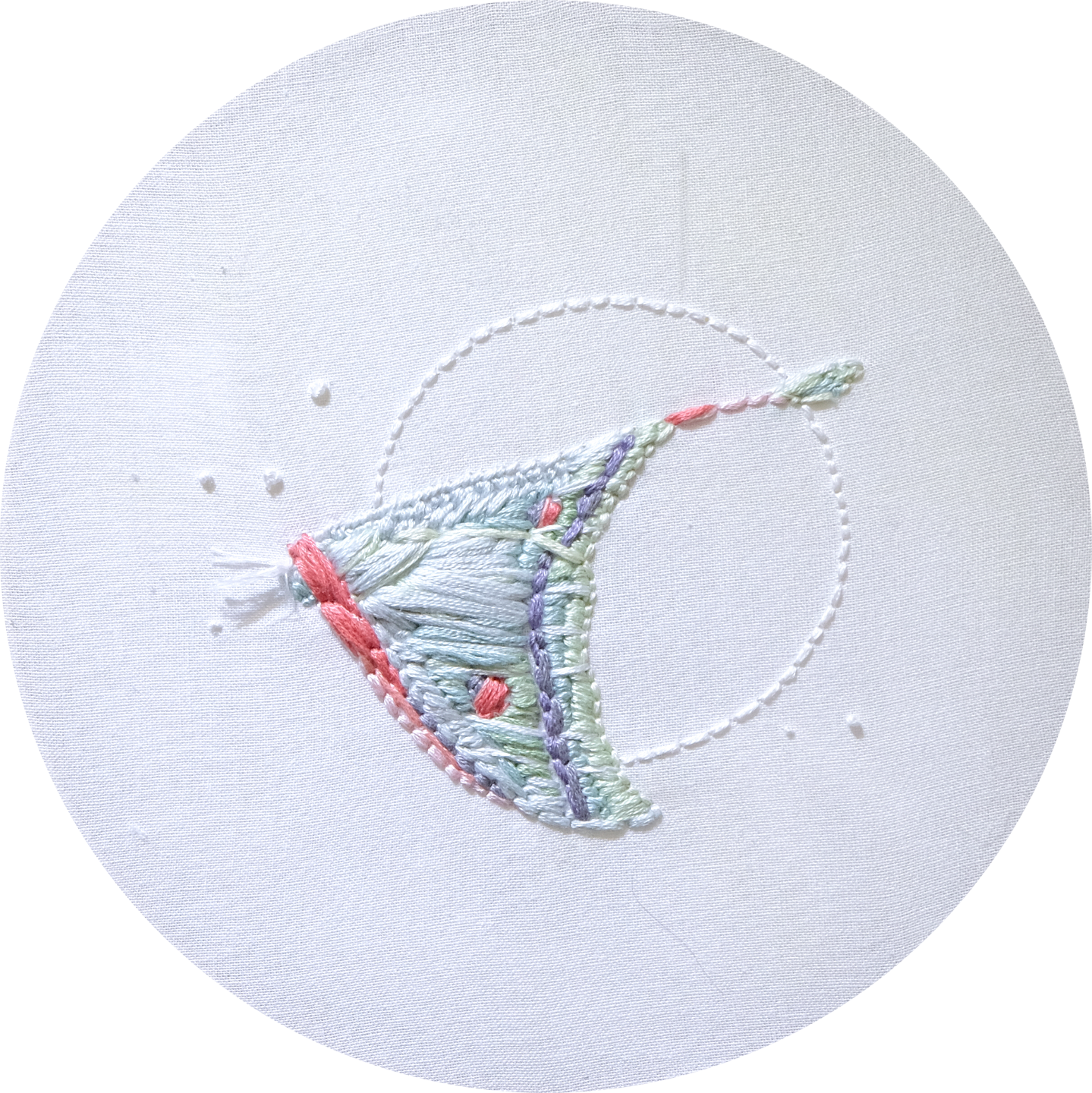 Apparatus Actias